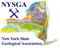 NYSGA logo